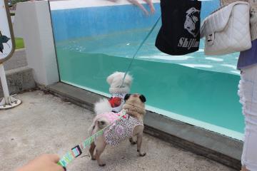 IMG_0860_convert_20121012224839.jpg