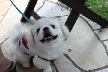 IMG_0867_convert_20121012225403.jpg
