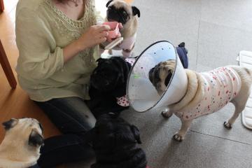 IMG_0874_convert_20121012230148.jpg