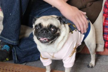 IMG_0879_convert_20121012230332.jpg