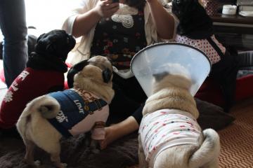 IMG_0894_convert_20121012230700.jpg