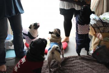 IMG_0895_convert_20121012230812.jpg