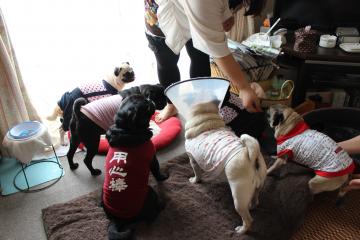 IMG_0900_convert_20121012231031.jpg