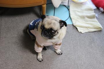 IMG_0907_convert_20121012231521.jpg