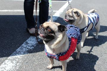 IMG_0911_convert_20121025231057.jpg