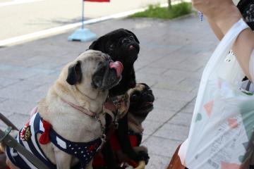 IMG_0927_convert_20121025231827.jpg