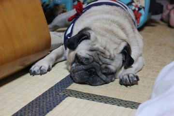 IMG_0957_convert_20121101231426.jpg