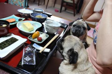 IMG_0961_convert_20121101231659.jpg