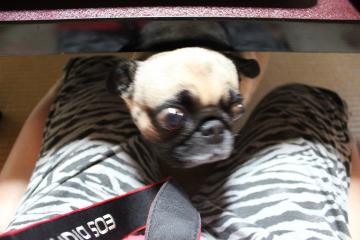 IMG_0965_convert_20121101231913.jpg