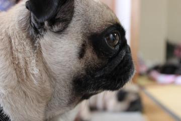 IMG_0968_convert_20121101232140.jpg