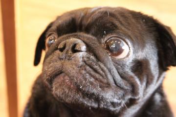 IMG_0973_convert_20121101232453.jpg