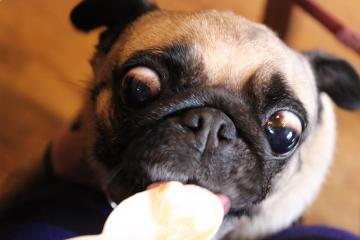 IMG_0975_convert_20121101232542.jpg
