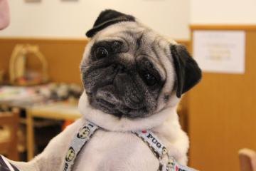 IMG_0985_convert_20121101233104.jpg