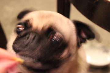 IMG_1009_convert_20121113231643.jpg