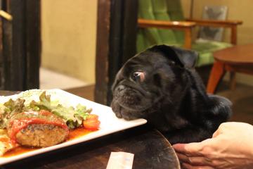 IMG_1012_convert_20121112231143.jpg