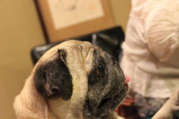 IMG_1013_convert_20121112231232.jpg