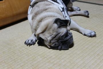 IMG_1018_convert_20121112231410.jpg