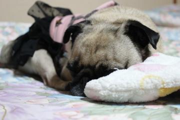 IMG_1019_convert_20121112231502.jpg