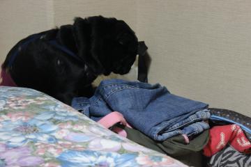 IMG_1020_convert_20121112231554.jpg