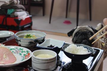 IMG_1029_convert_20121120231423.jpg