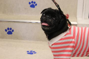 IMG_1040_convert_20121120232025.jpg