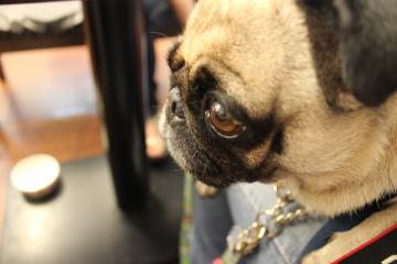 IMG_1049_convert_20121120232305.jpg