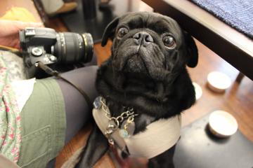 IMG_1050_convert_20121120232407.jpg