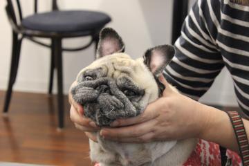 IMG_1053_convert_20121120232449.jpg