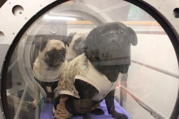 IMG_1055_convert_20121120232539.jpg