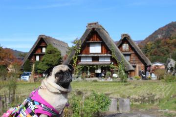 IMG_1070_convert_20121127231228.jpg