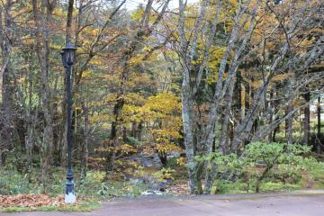 IMG_1103_convert_20121203230331.jpg
