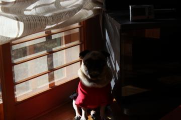 IMG_1105_convert_20121203230412.jpg