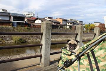 IMG_1106_convert_20121203230506.jpg