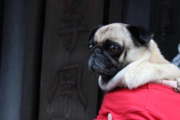 IMG_1115_convert_20121203230905.jpg