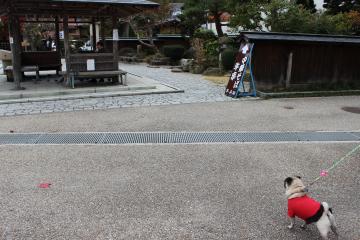 IMG_1122_convert_20121203231136.jpg