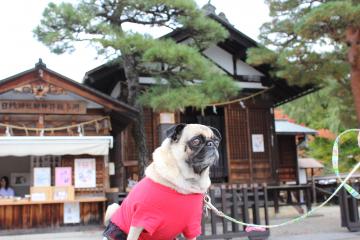 IMG_1123_convert_20121203231243.jpg