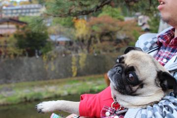 IMG_1124_convert_20121203231334.jpg