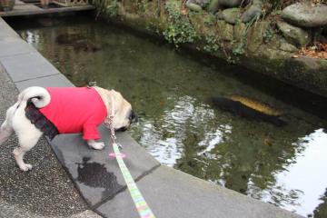 IMG_1125_convert_20121203231420.jpg