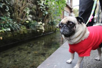 IMG_1128_convert_20121203231510.jpg