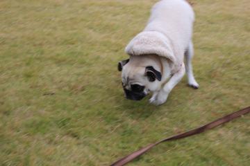 IMG_1134_convert_20121213235151.jpg