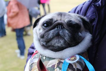 IMG_1156_convert_20121213235000.jpg