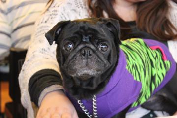 IMG_1159_convert_20121227231830.jpg
