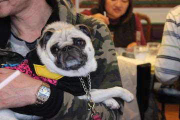 IMG_1160_convert_20121227231931.jpg