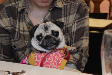 IMG_1165_convert_20121227232118.jpg