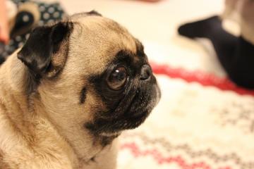 IMG_1170_convert_20121227232336.jpg