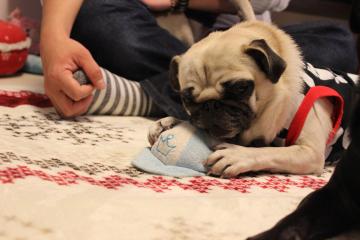 IMG_1175_convert_20121227232912.jpg