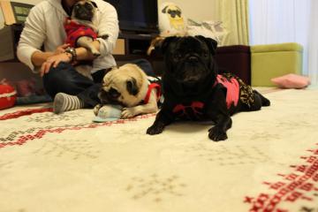 IMG_1176_convert_20121227232607.jpg
