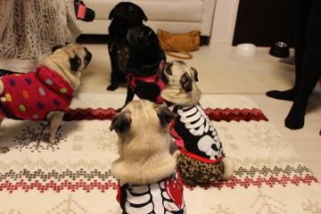IMG_1186_convert_20121227233225.jpg