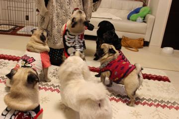 IMG_1190_convert_20121227233316.jpg