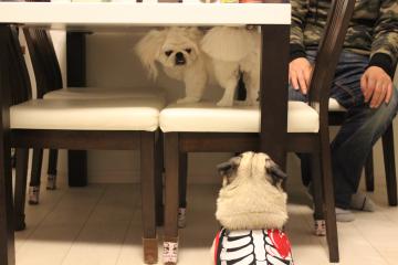 IMG_1191_convert_20121227233356.jpg